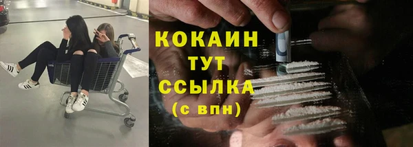 соль ск Алзамай