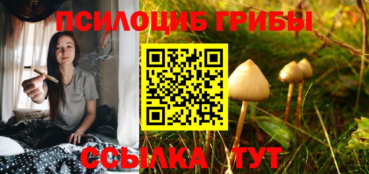 Псилоцибиновые грибы GOLDEN TEACHER Салават